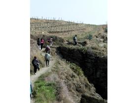 photo coins arrondis